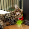 Catstages Dental Strawberry Teether, Soft and Textured Cat Chew Toy,