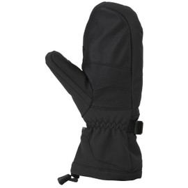 Gordini Men's Polar Ii Waterproof Insulated Mittens, Black, Medium