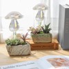 E-feilai Glass Plant Watering Bulbs for Gift, Mushroom Plant waterer,