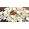 Unbranded 8 Fabulous Iridescent Cream Trocas Natural Shell MOP Buttons