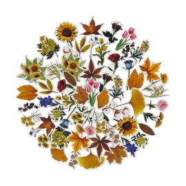 ZMLSED Botanical Stickers,60 PCS Vintage Mini Aesthetic Stickers for Scrapbooking, Cottagecore Fall Defoliation Themed Decals Waterproof Vinyl Stickers for Bullet Junk Journal Planner Laptop