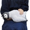 Knee Penguin Plush Toy, Size S