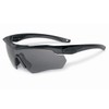 ESS Grey Scratch Resistant Wrap Safety Glasses, Black, One Size