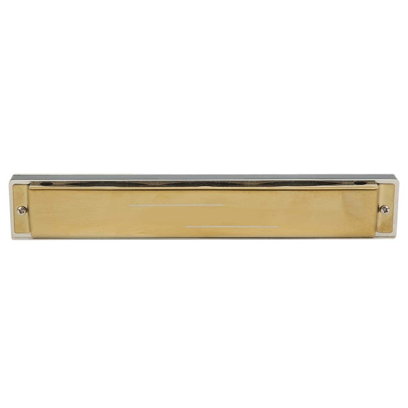 24 Hole Tremolo Harmonica, Professional Tremolo Harmonica Harp Wind Musical