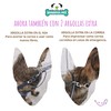 MINDFUL PET Correa de Paseo para Perros, de 1.8m de