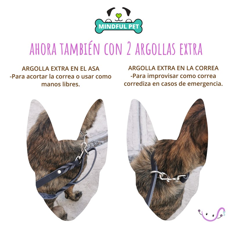 MINDFUL PET Correa de Paseo para Perros, de 1.8m de