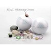 Bidameun Siyoul Crema Facial Coreana De Caracol_ Antiarrugas Y Antimanchas