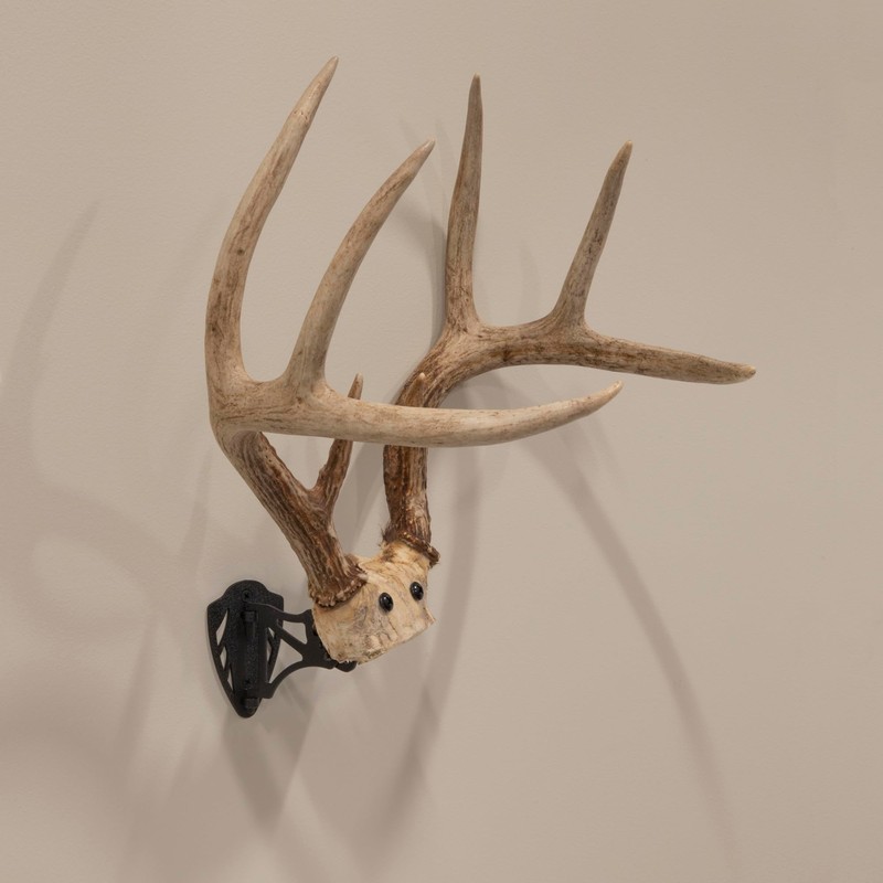 Allen Company EZ Mount Horn Bracket, Brown