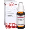DHU Aesculus D6 Dilution, 20 ml Solution