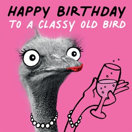Funny Birthday Cards for Her - 'Happy Birthday To A Classy Old Bird' - Fun Birthday Cards for Women - Sister Birthday Card - Best Friend Birthday Card - Birthday Card for Wife