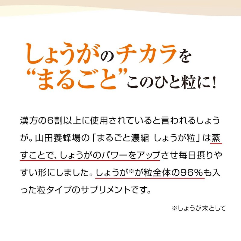 山田養蜂場 まるごと濃縮しょうが粒 60粒袋入 しょうが