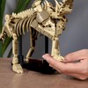 LUXEBLOCKS Brontosaurus Skeleton Construction Kit - 476PCS Poseable Dinosaur Model