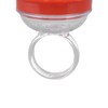 Hummingbird Wrist Feeder, for Outdoor Hummingbird Hand Feeder Feeding Perch