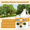 Orange Tree Fertilizer, Complete Liquid Orange Tree Citrus Plant Food,