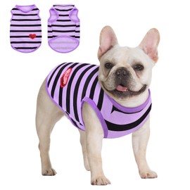Queenmore Small Dog Shirt,Soft Breathable Dog Shirt for Dogs Cats Boy Girl,Pet Clothes for All Season,Breathable Lightweight Pet Tshirt for Frenchie, Dachshund, Yorkie
