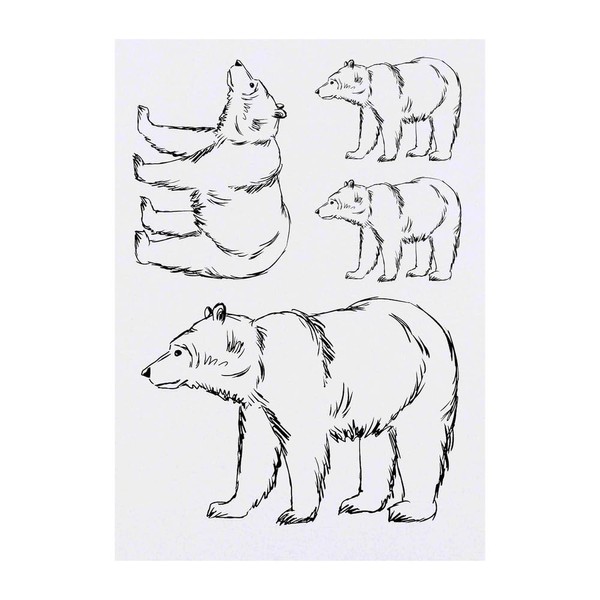 Azeeda 4 x 'Bär, Strichzeichnung' Temporäre Tattoos - Wasserfest, Hautfreundlich