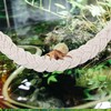2PCS Hermit Crab Climbing Toys Hermit Crab Accessories Climbing Rope