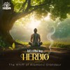 Fragrances & Sens - Natural Palo Santo Incense Sticks Herbio,