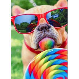 Dog With Big Lollipop Avanti Funny Birthday Card