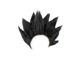 miccostumes Men's Anime Style Cosplay Wig (Black) One size