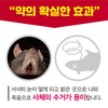 Rat pills that eat well and die well, professional rodenticide,