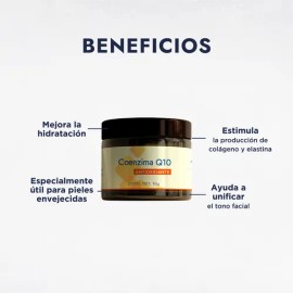 Coenzima Q10 Pura Cosmética Antioxidante En Polvo Todo tipo de piel Hebbe Cosmetics & Ludika 10g