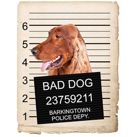 Irish Setter Dog Mugshot Bad Dog Car Bumper Magnet, Magnetic for Refrigerator, Decorative Fridge, Office, Whiteboard, Kitchen, Locker Waterproof Decor, Family & Friends, 4x7 in