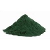 1 Kilo Alga Espirulina