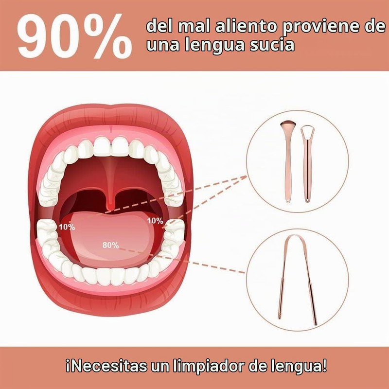 Raspador de Lengua de Acero Inoxidable Set de 3 para