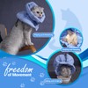 Cat Recovery Collar, Soft Adjustable Cone for Cats and Kittens,