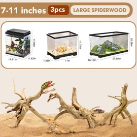 Jorewood Natural Large Spiderwood Driftwood for Aquarium Decor Rptile Fish Tank Decoration Assort Branch 7-11'' 3 Pcs