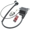 Replace Ignition Coil & On Off Stop Switch & Spark