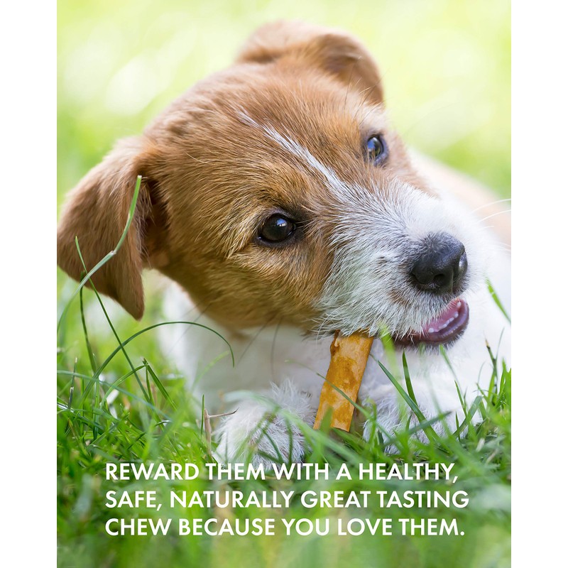 Canine Naturals - Hide Free Chicken Recipe Sticks for Dogs