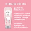 Guhl Repair Value Set – Contents: Shampoo, Conditioner & Treatment
