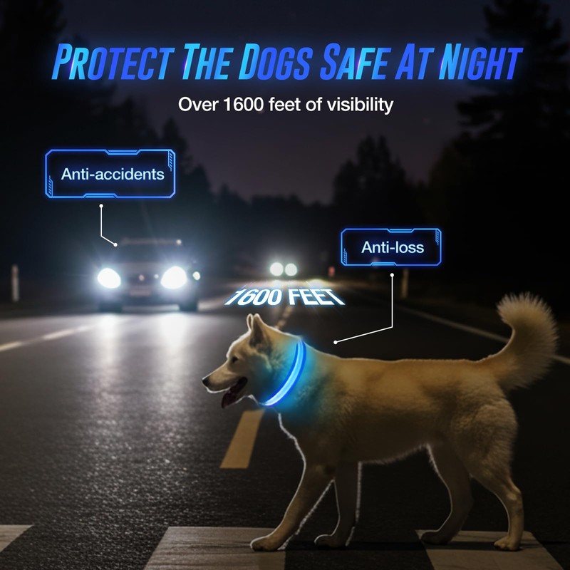 5200RGB Luminous Rabbit Band Blue-M