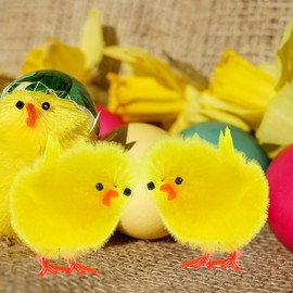 Mini Chicks Fake Pom Chicks: 36Pcs Easter Chicks Figurines Tiny Colored Chickens Fake Chicken for Crafts Party Favors DIY Adornments Table Decorations