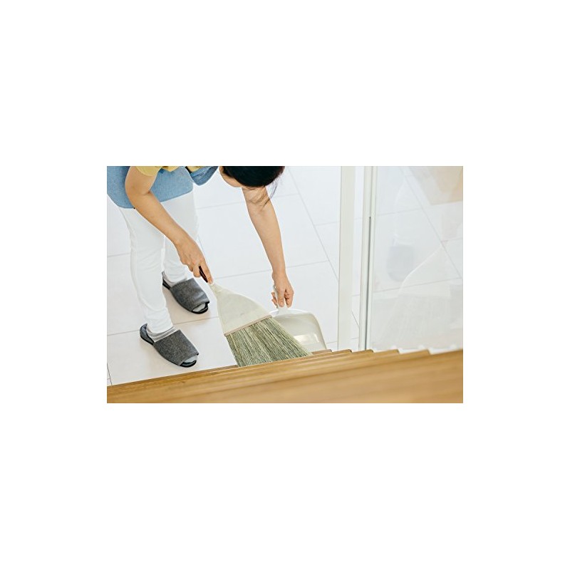 Yamazaki Sangyo (山崎産業) Hand Dustpan 2989.jp+ Home Dust M Plastic