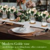 Glass Bulb Vases for Flowers Forcing Hyacinth Clear Decorative Bulb
