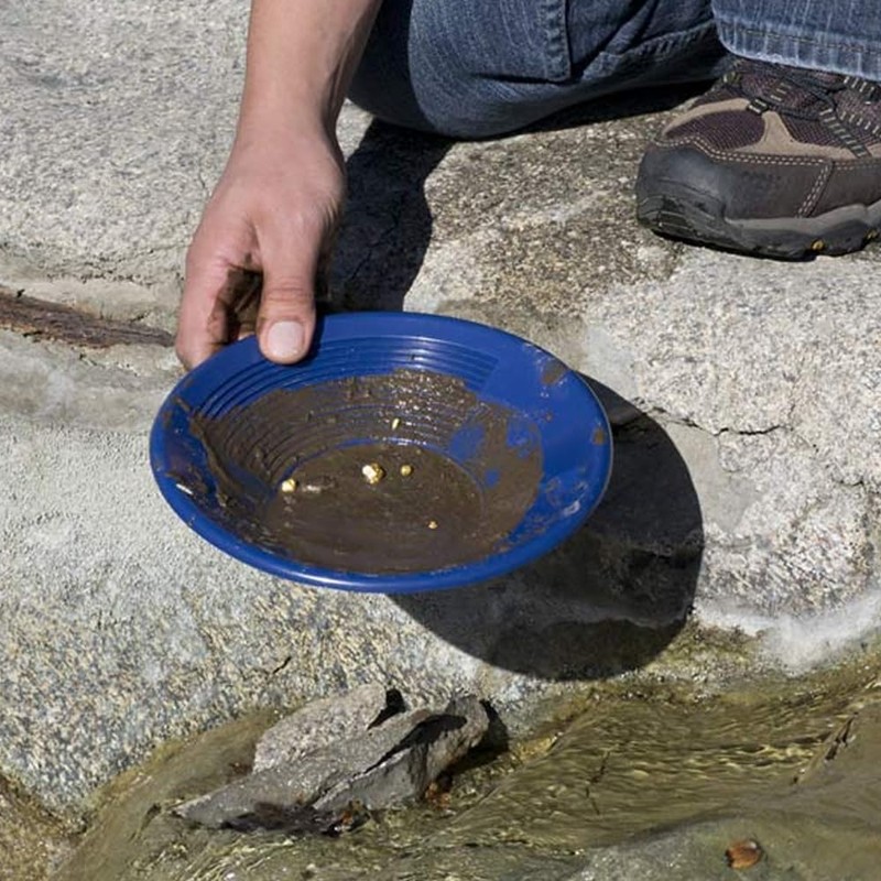 Detector Warehouse 12 Piece Professional Gold Pan Kit with 8",