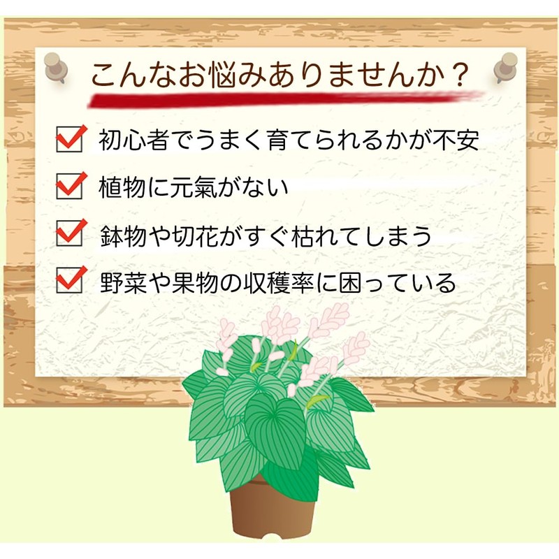 Flora HB-101 500cc PlantLiquid which strengthens very much the plant