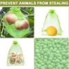 Pack of 100 Fruit Protective Bags, Grape Protective Bags, Fruit