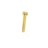 Allparts GS 5453 002 Pole Piece Screws – Gold