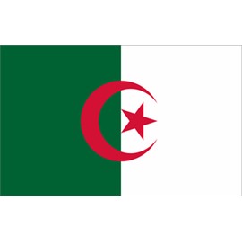 GLOBAL ADVERTISING SOLUTIONS 3x5 Country National Flag Made in USA Bright Colors Long Lasting and Weather Resistance Country State Flag only Without Pole kit and Mount (Algeria)