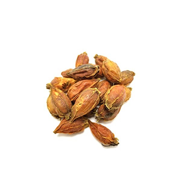 Zhi Zi Chinese Herb | Cape Jasmine | Dried Gardenia