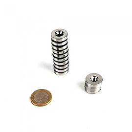 Kit de fijación magnética para pesca, 10 imanes de neodimio con sus tornillos avellanados, diámetro 18mm, potencia de magnetización 4,8kg