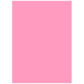 Nagatoya Shoten Na-CR008 Crayon Color A4 Koi Peach 20 Sheets