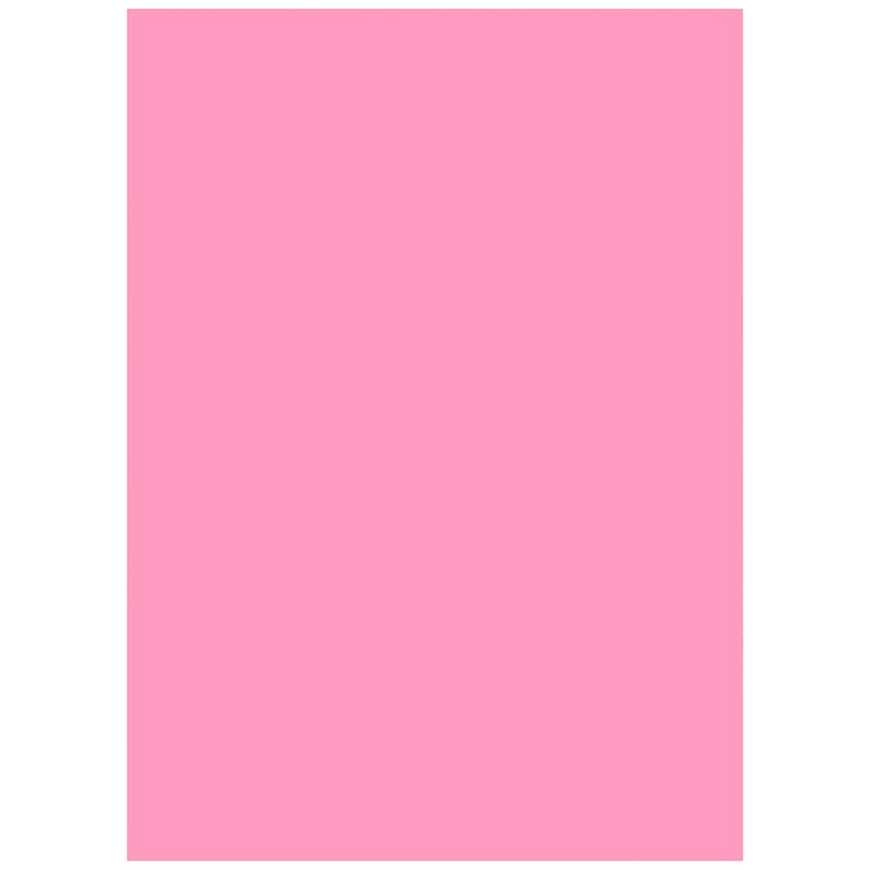 Nagatoya Shoten Na-CR008 Crayon Color A4 Koi Peach 20 Sheets