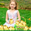 12 PCS Jumbo Gold Easter Eggs 6 Inch Giant Metallic