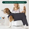 Kuoser Dog Bodysuit After Op, Dog Bodysuit After Surgery Body