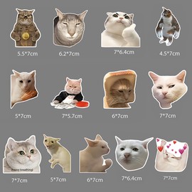 Lovely Funny Fridge Magnets Cat Meme Fasteners on Home& Kitchen; Applicable on Refrigerator, Car, Office Cabinets, Dishwasher and Whiteboard The Most Interesting Birthday Gift (13 Pieces)